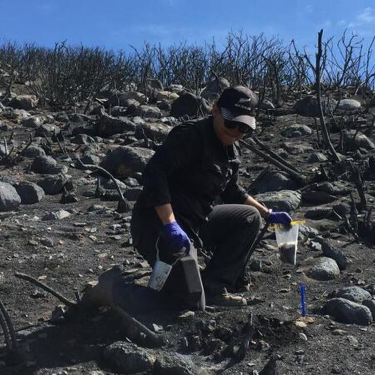 Dr. Glassman Collecting Soil Samples in the Field