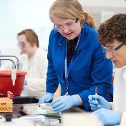 microbiology plates
