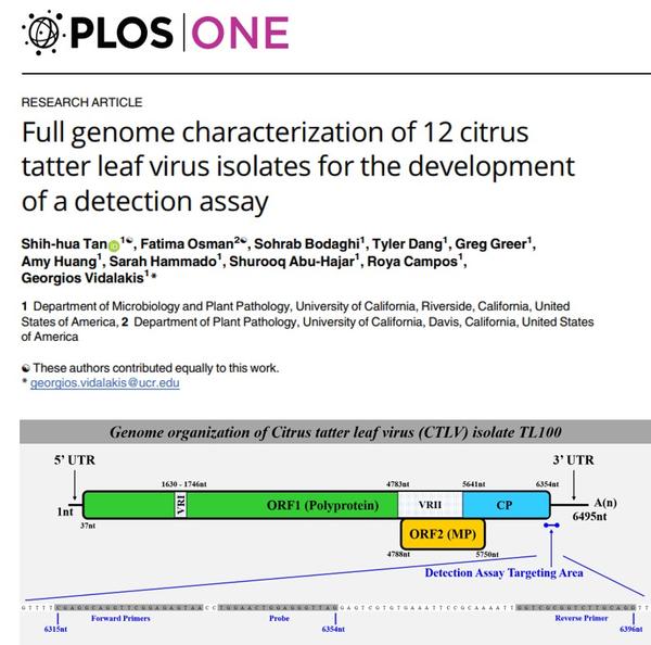 CTLV PLOS ONE News