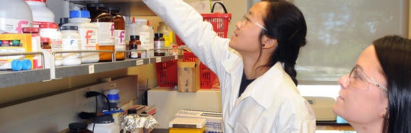 students in the lab (c) UCR/CNAS