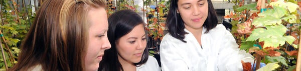 students in the greenhouse (c) UCR/CNAS