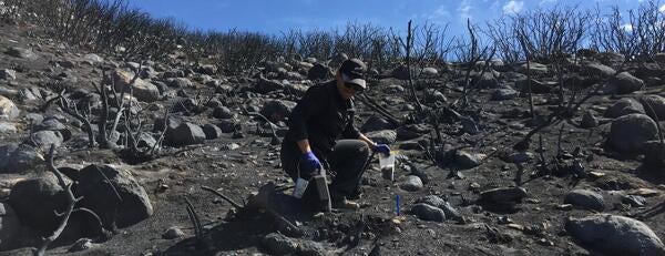 Dr. Glassman Collecting Soil Samples in the Field