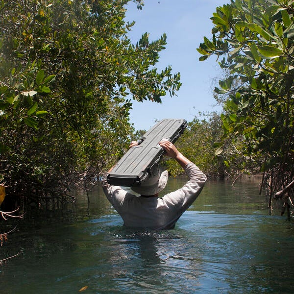 MTC Entering BCS Mangroves (credit Ramiro Arcos Aguilar)