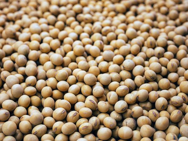 Soybeans