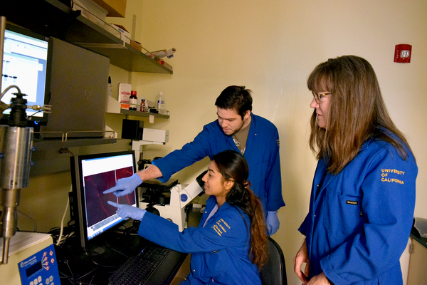 borkovich lab microscope