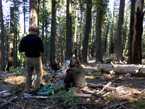 Glassman Lab Field Research